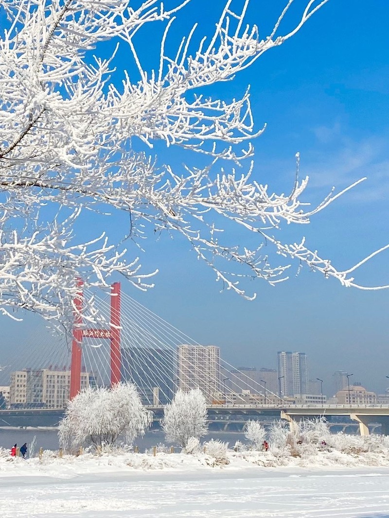 吉林,北国江城,绿色家园的魅力之旅