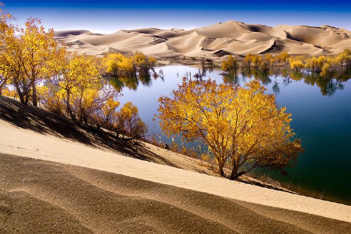 疆界无界，新疆科技未来新篇章——新品大揭秘